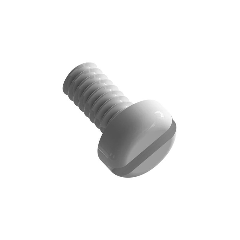 1 pcs : 010256P025 - PAN SLOTTED SCREW, NATURAL, NYLO