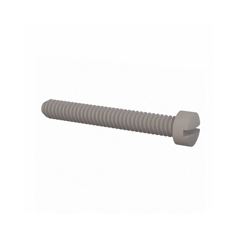 1 pcs : 010256F062 - FILLISTER SLOTTED SCREW 2-56 THR