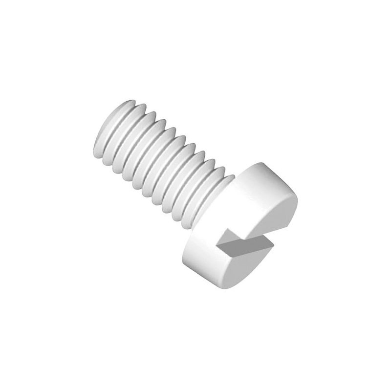 1 pcs : 50M025045D006 - CHEESE HEAD SLOTTED SCREW, NATUR