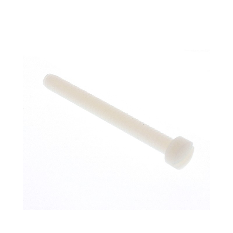 1 pcs : 012520F250 - FILLISTER SLOTTED SCREW 1/4-20 T