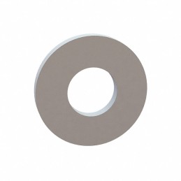 1 pcs : 17W04501 - FLAT WASHER, .200 ID, .450 OD, .