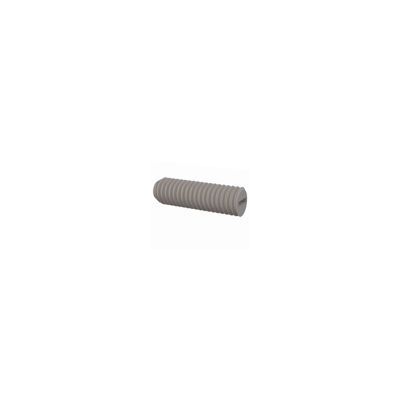 1 pcs : 50M060100R020 - SET SCREW, SLOTTED HEAD, M6 X 1