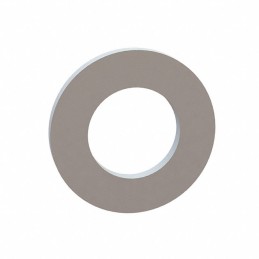 1 pcs : 17W06856 - FLAT WASHER, .388 ID, .695 OD, .
