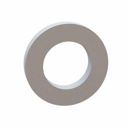 1 pcs : 17W01950 - FLAT WASHER, .115 ID, .197 OD, .
