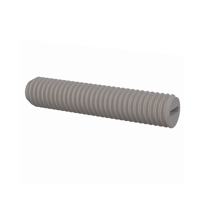 1 pcs : 50M060100R060 - SET SCREW, SLOTTED HEAD, M6 X 1