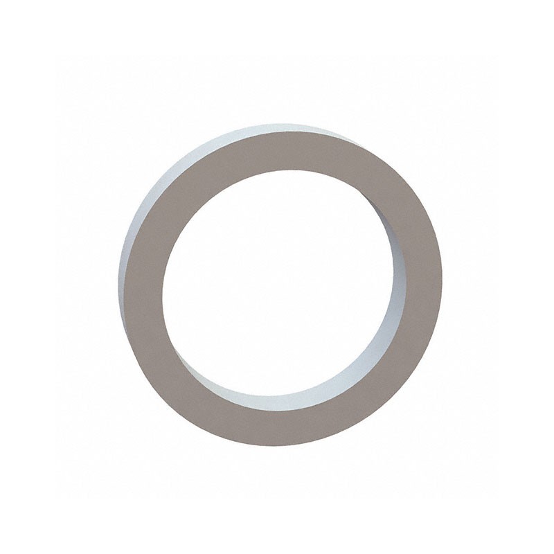 1 pcs : 17W07560 - FLAT WASHER, .578 ID, .756 OD, .