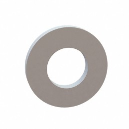 1 pcs : 17W10010 - FLAT WASHER, .505 ID, 1.000 OD,