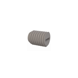 1 pcs : 50M100150R013 - SET SCREW, SLOTTED HEAD, M10 X 1