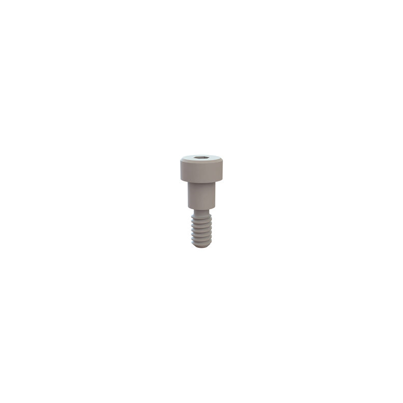 1 pcs : 31025025 - SHOULDER SCREW, HEX SOCKET, 10-