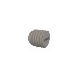 1 pcs : 50M100150R010 - SET SCREW, SLOTTED HEAD, M10 X 1