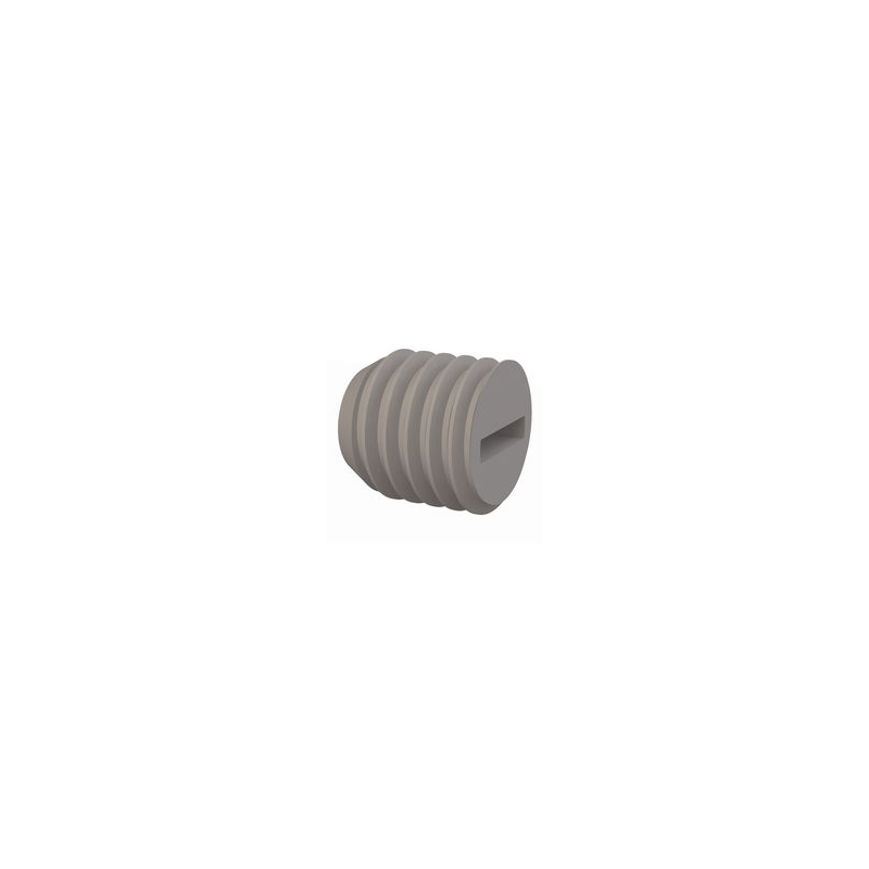 1 pcs : 50M100150R010 - SET SCREW, SLOTTED HEAD, M10 X 1