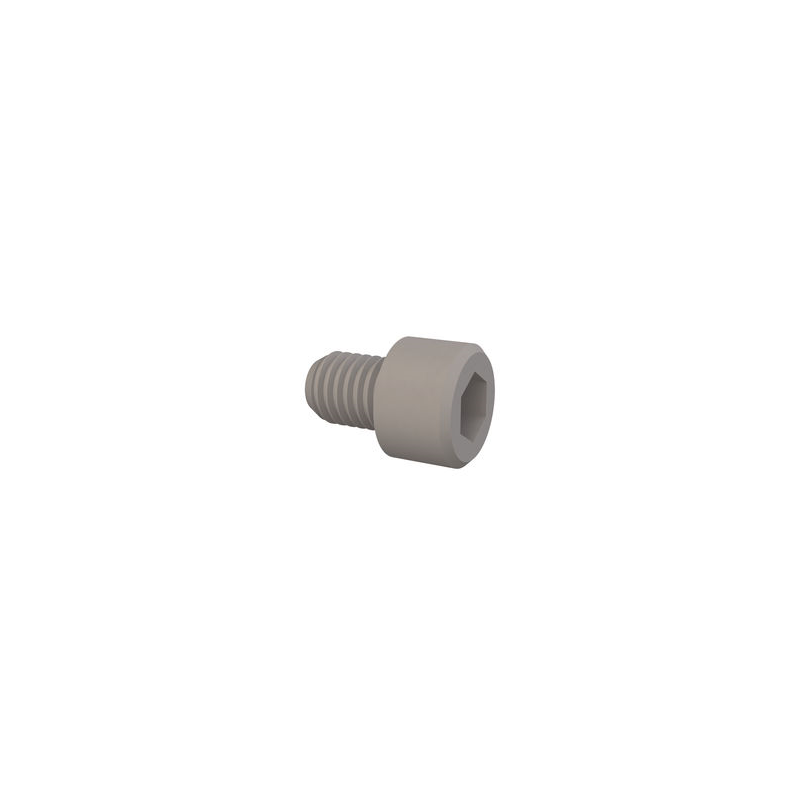 1 pcs : 50M100150S013 - HEX SOCKET CAP SCREW, M10 X 1.5