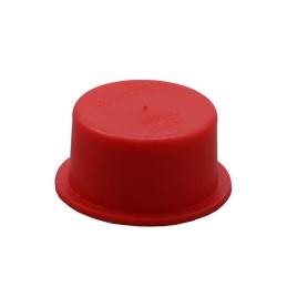 1 pcs : 10731A - BSP/GAS THREADED PROTECTION PLUG