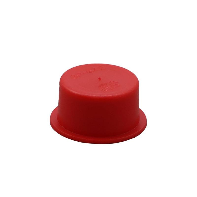 1 pcs : 10731A - BSP/GAS THREADED PROTECTION PLUG
