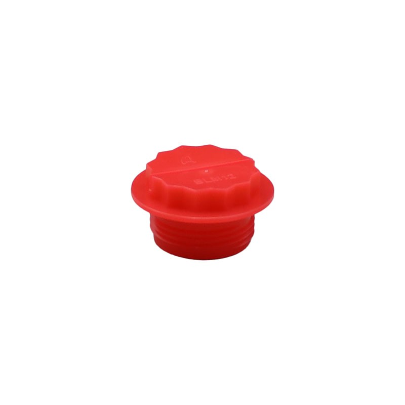 1 pcs : BLM12B - THREADED SEALING PLUG - THREAD S