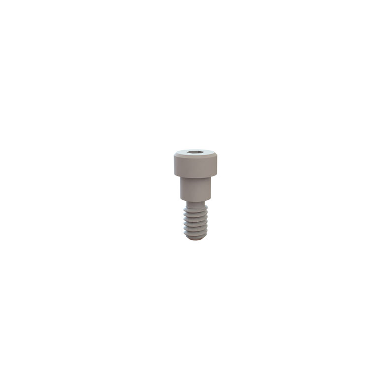 1 pcs : 31031025 - SHOULDER SCREW, HEX SOCKET, 1/4-