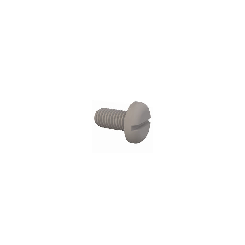 1 pcs : 50M100150N020 - PAN SLOTTED SCREW, M10 X 1.5 THR