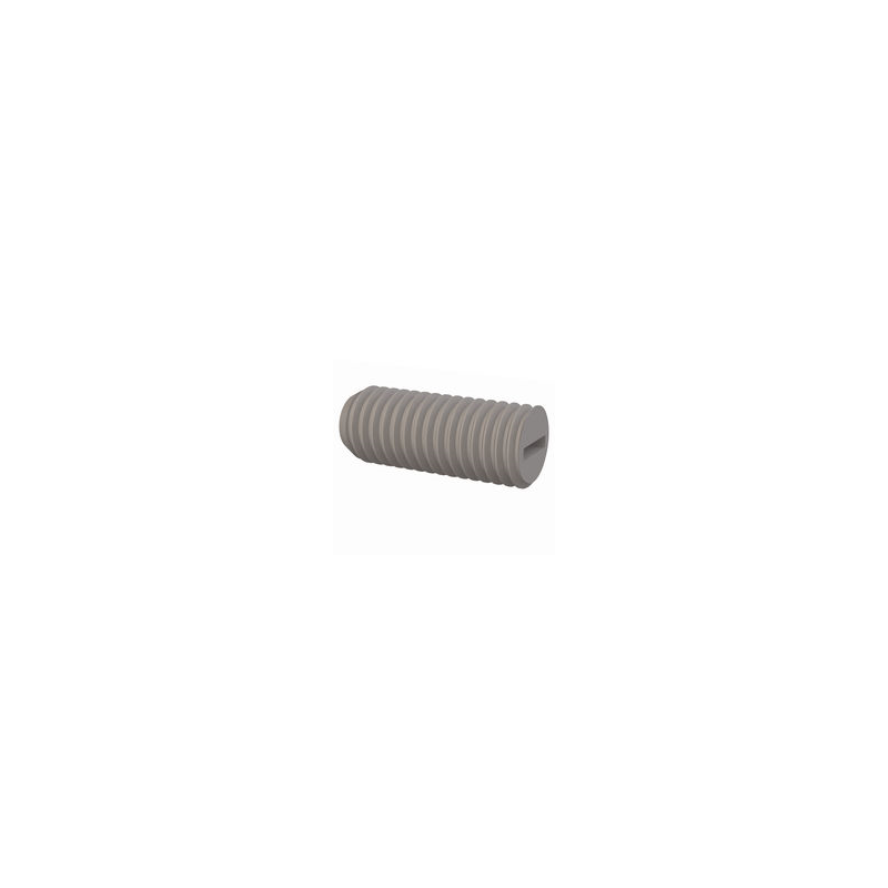 1 pcs : 50M100150R030 - SET SCREW, SLOTTED HEAD, M10 X 1