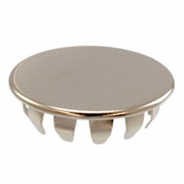 1 pcs : 7606 - HOLE PLUG 0.875' STL/NCKL NAT