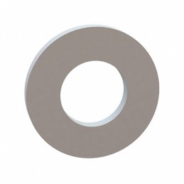 1 pcs : 17W07850 - FLAT WASHER, .394 ID, .785 OD, .