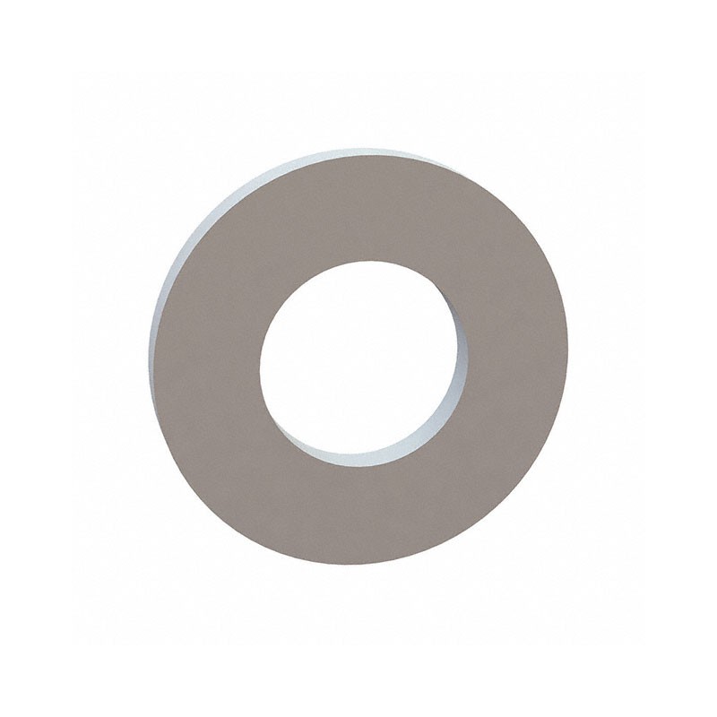 1 pcs : 17W07850 - FLAT WASHER, .394 ID, .785 OD, .