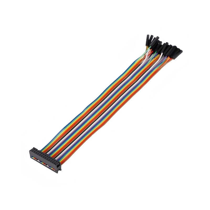 1 pcs : MIKROE-2317 - CBL ASSY 26P SKT-TIP SKT 0.66'