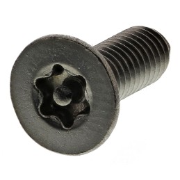 1 Bag of 100 - RS PRO Plain Flat Stainless Steel Tamper Proof Security Screw, M4 x 12mm