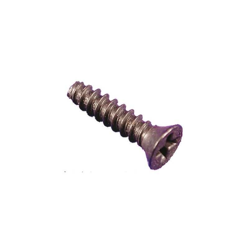 1 Bag of 100 - Hammond Self Tapping Screw