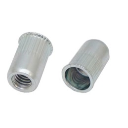 1 Bag of 100 - RS PRO Steel Blind Rivet, 5.9mm