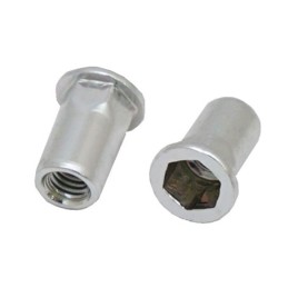 1 Bag of 100 - RS PRO Steel Blind Rivet, 6.9mm