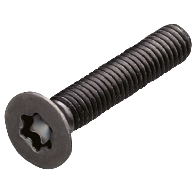 1 Bag of 20 - Yahata Neji Hexalobular Recess Pan Steel Tamper Proof Security Screw, M3x6mm