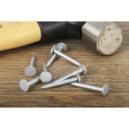 1 Bag of 210 - RS PRO Galvanised Nails, 30mm x 3mm, 500g Bag