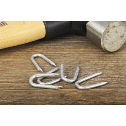 1 Bag of 243 - RS PRO Galvanised Nails, 25mm x 2.65mm, 500g Bag