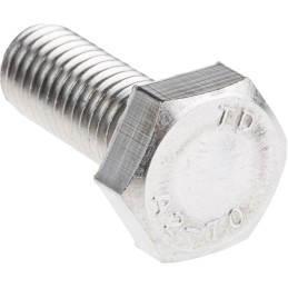 1 Bag of 25 - Plain Stainless Steel Hex, Hex Bolt, M10 x 25mm