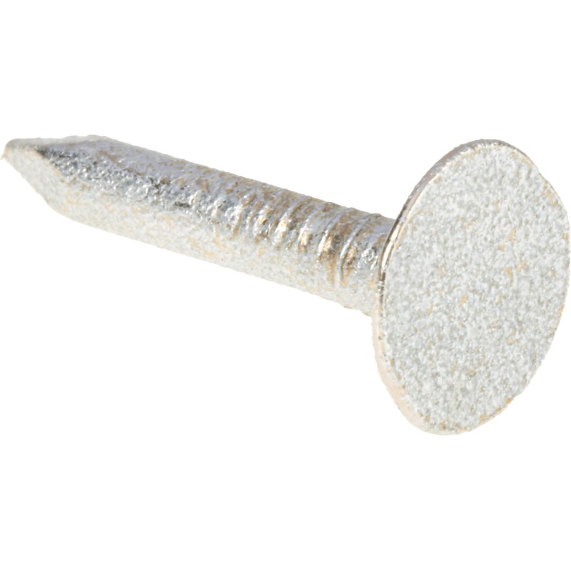 1 Bag of 290 - RS PRO Galvanised Nails, 20mm x 3mm, 500g Bag