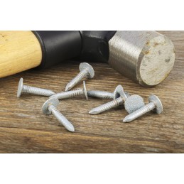 1 Bag of 290 - RS PRO Galvanised Nails, 20mm x 3mm, 500g Bag