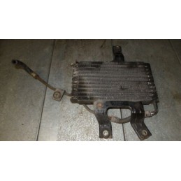 2008 QUADZILLA LINHAI 300 QUAD RADIATOR