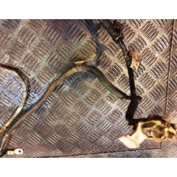 CITROEN C3 MK1 1.4 HDI DIESEL 2003 BATTERY WIRING CABLE
