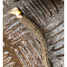 HONDA FRV 2004-2011 MK1 2.2 I-CTDI FUEL RAIL 0445214051 / 16610-RBD