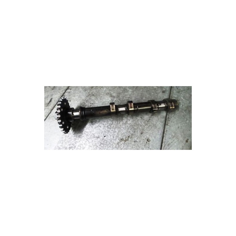 Subaru Outback legacy 05-09 2.0 diesel CAMSHAFT CAM LH IN EX