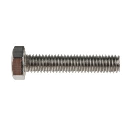 1 Bag of 50 - Plain Stainless Steel Hex, Hex Bolt, M6 x 30mm