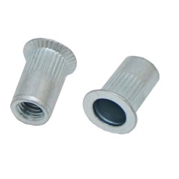 1 Bag of 50 - RS PRO Steel Blind Rivet, 15.9mm