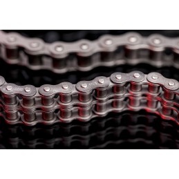 1 pcs - Sedis 16B-2 Duplex Roller Chain, 5m, ALPHA