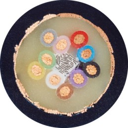 25 pcs - Igus chainflex CF11 Data Cable, 8 Cores, 0.25 mm², Screened, 25m, Blue TPE Sheath, 24 AWG