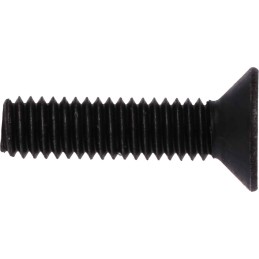 1 Box of 100 - RS PRO Black, Self-Colour Steel Hex Socket Countersunk Screw, DIN 7991, M4 x 16mm