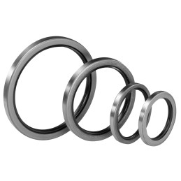 1 Bag of 2 - Paulstra Hutchinson Nitrile Rubber Seal, 60mm ID, 80mm OD, 8mm