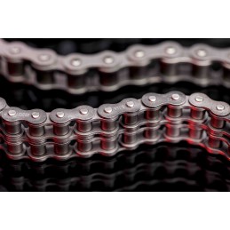 1 pcs - Sedis 08B-2 Duplex Roller Chain, 5m, ALPHA