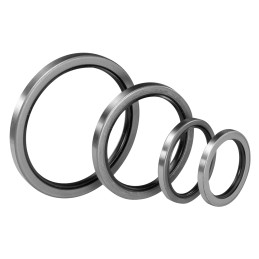 1 Bag of 2 - Paulstra Hutchinson Nitrile Rubber Seal, 10mm ID, 22mm OD, 7mm