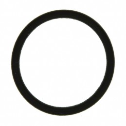 10 pcs : IP0207 - O-RING FOR IP SERIES