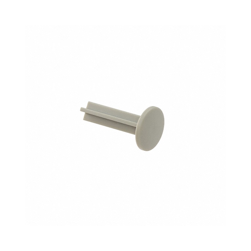 10 pcs : 5.46.011.028/0710 - RF15N PLUNGER D 10.0 TH 22.50 MM